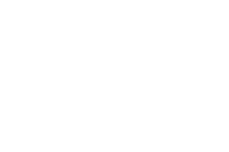 Souren Holdings