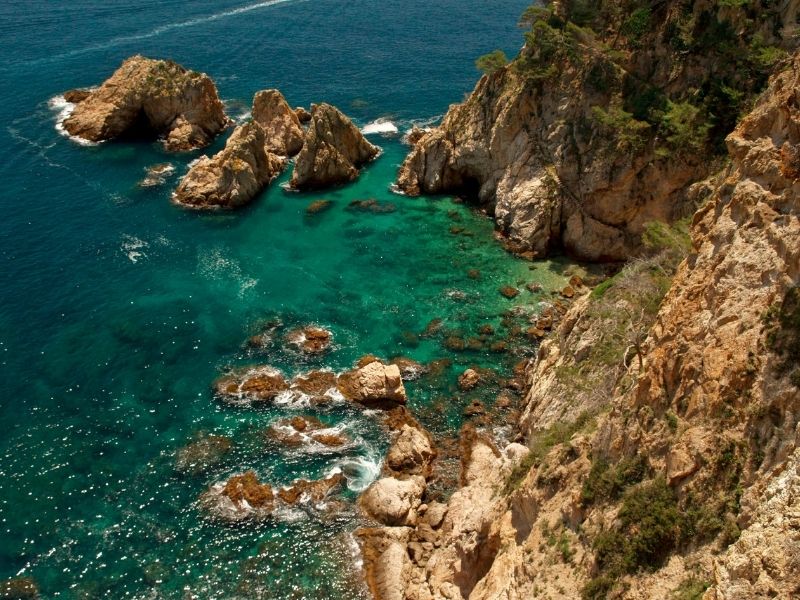 Weinrech & Souren team